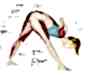 parshvottanasana