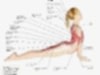 shvanasana