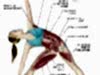 trekonasana1